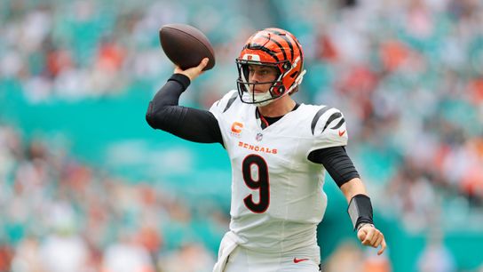 Fantasy Football Rankings Week 17 2025 (Fantasy Football)